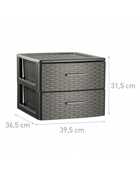 Plastic Forte - Cajonera de ordenación Rattan de plástico, 2 cajones, efecto mimbre 31,5 x 39,5 x 36,5 cm, gris antracita. Torre