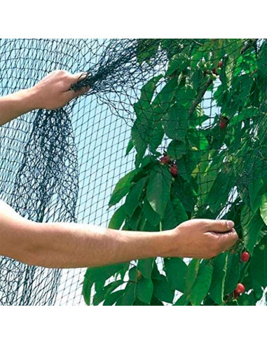 Tradineur - Malla anti pájaros de polietileno, red de protección contra animales, aves para plantas, árboles, jardín, huerto, cu