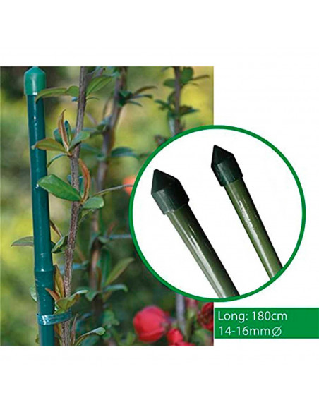 Tradineur - Tutor de bambú plastificado, varilla, guía para plantas, flores, tomates, caña de jardín, estaca para huerto (Verde,
