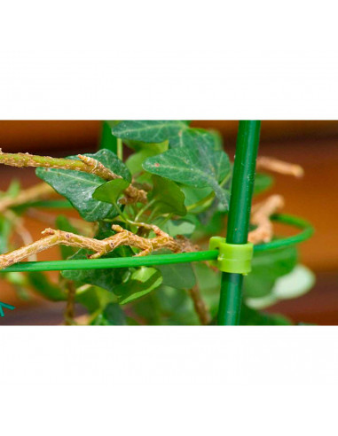 Tradineur - Tutor de bambú plastificado, varilla, guía para plantas, flores, tomates, caña de jardín, estaca para huerto (Verde,