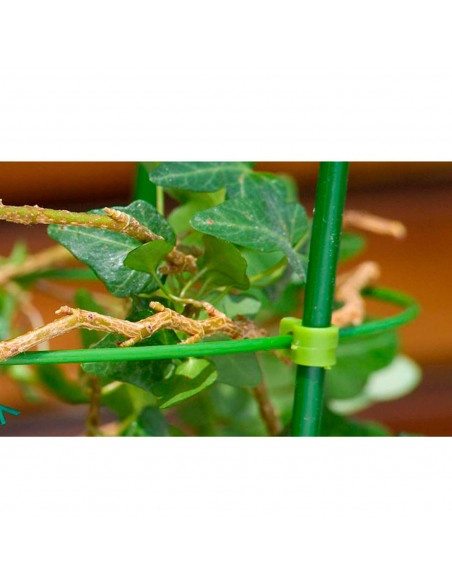 Tradineur - Tutor de bambú plastificado, varilla, guía para plantas, flores, tomates, caña de jardín, estaca para huerto (Verde,
