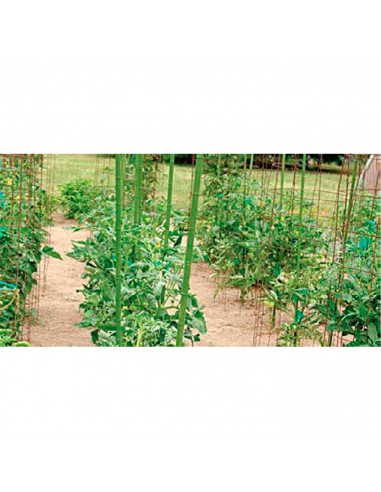 Tradineur - Tutor de bambú plastificado, varilla, guía para plantas, flores, tomates, caña de jardín, estaca para huerto (Verde,
