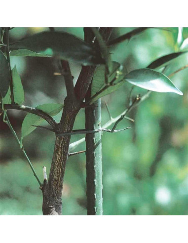 Tradineur - Tutor de hierro plastificado, varilla, guía para plantas, flores, tomates, estaca para jardín, huerto (Verde, 180 cm