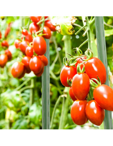 Tradineur - Tutor de hierro plastificado, varilla, guía para plantas, flores, tomates, estaca para jardín, huerto (Verde, 180 cm