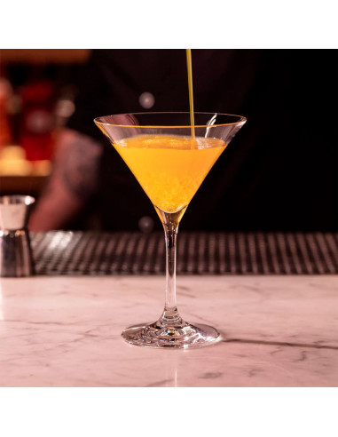 Tradineur - Set de 6 copas de cristal para cócteles, modelo Degustation, bebidas, champán, aptas para lavavajillas, fiestas, cel