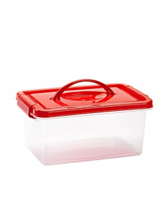 Plastic Forte - Caja de plástico con tapa de color surtido y asa, de 29  x 18,5  x 13 cm, 4 litrosl. Baúl con tapa para organiza