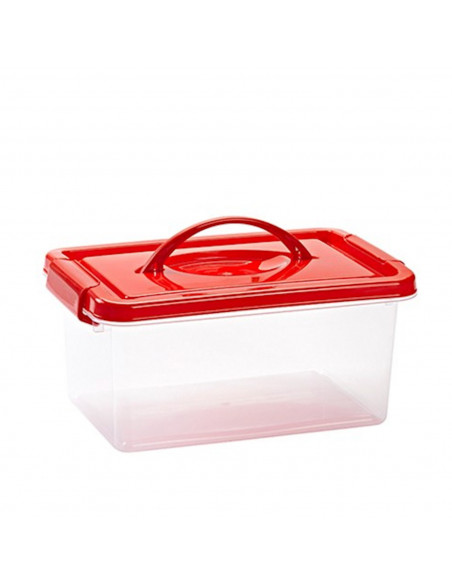 Plastic Forte - Caja de plástico con tapa de color surtido y asa, de 29  x 18,5  x 13 cm, 4 litrosl. Baúl con tapa para organiza