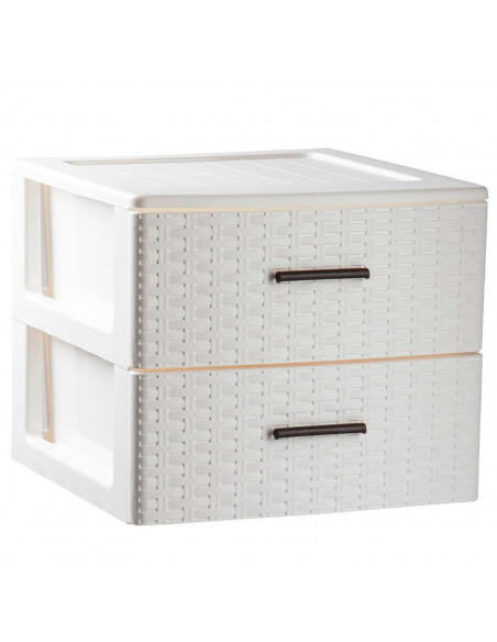 Tradineur - Cajonera de ordenación Rattan de plástico - 2 cajones - Torre de almacenaje multiusos, organizador auxiliar, almacen