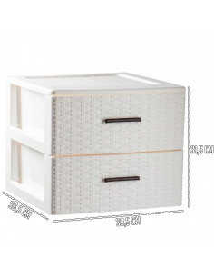 Tradineur - Cajonera de ordenación Rattan de plástico - 2 cajones - Torre de almacenaje multiusos, organizador auxiliar, almacen 2