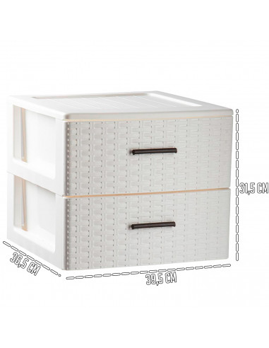 Tradineur - Cajonera de ordenación Rattan de plástico - 2 cajones - Torre de almacenaje multiusos, organizador auxiliar, almacen