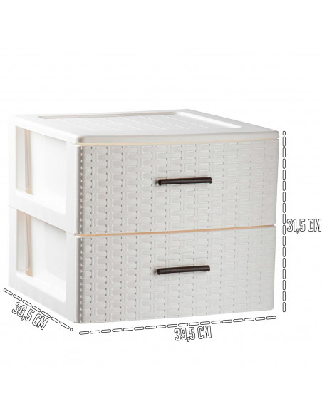 Tradineur - Cajonera de ordenación Rattan de plástico - 2 cajones - Torre de almacenaje multiusos, organizador auxiliar, almacen