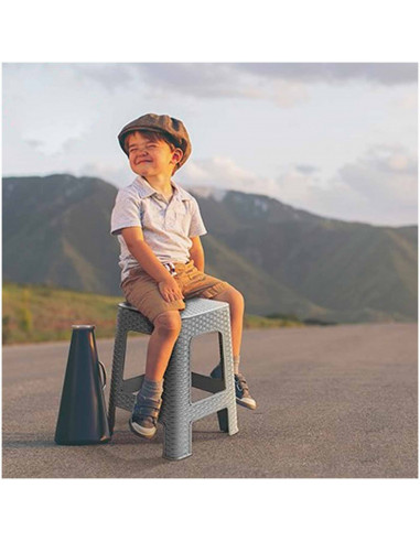 Tradineur - Taburete de plástico con asa Rattan, asiento de 28 x 28 cm, imitación de mimbre, banqueta multiusos, cocina, salón (