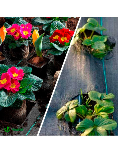 Tradineur - Malla antihierbas, Rollo de Tela Protectora Permeable contra Malas Hierbas, Resistente al Desgaste y desgarro, contr