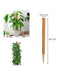 Tradineur - Tutor de madera y coco para plantas, soporte, guía para flores, plantas, estaca de jardín, hogar, decoración de inte 2