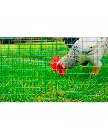 Tradineur - Rollo de malla metálica plastificada, cuadrada, cierre de alambre, valla, cercar jardín, gallinero, finca, alta resi