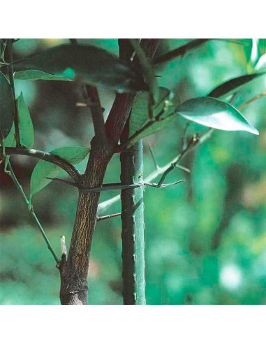 Tradineur - Pack de 12 tutores de acero plastificado para plantas de 1,1 x 120 cm, ideal para el cuidado del jardín. Varillas pa