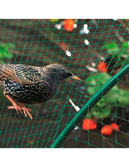 Tradineur - Malla anti pájaros de plástico, red de protección contra animales, aves, proteger frutas, plantas, árboles, jardín,