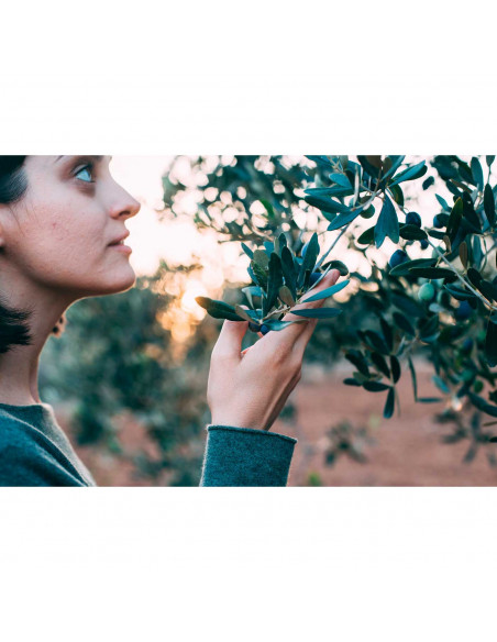 Tradineur - Malla de recogida de aceitunas, polietileno de alta densidad, red de recolección de frutos, resistente y duradera, l