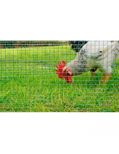 Tradineur - Rollo de malla metálica plastificada, huecos cuadrados de 16 x 16 mm, valla, cierre de alambre, cercar jardín, galli