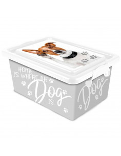 Tradineur - Caja de plástico con cierres laterales de clip y tapa, cajón de almacenaje multiusos, ordenación, objetos, hogar, fa