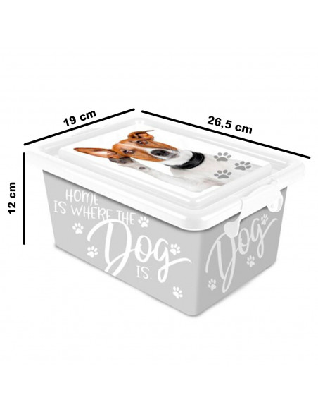 Tradineur - Caja de plástico con cierres laterales de clip y tapa, cajón de almacenaje multiusos, ordenación, objetos, hogar, fa