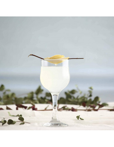 Tradineur - Set de 6 copas de cristal, modelo Nevakar, servir vino, champán, cócteles, elegantes, aptas para lavavajillas, celeb