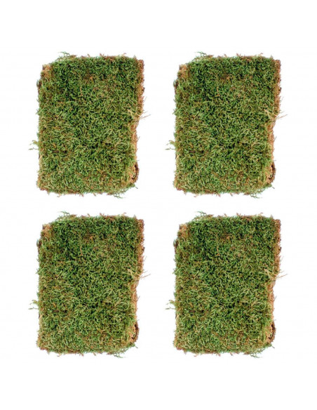 Tradineur - Pack de 4 bolsas de musgo navideño decorativo para belén, adornos, detalles para nacimiento, pesebre, 30 gramos