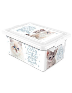 Tradineur - Caja de plástico con tapa y cierres laterales clip, cajón de almacenaje multiusos, ordenación, objetos, hogar, fabri