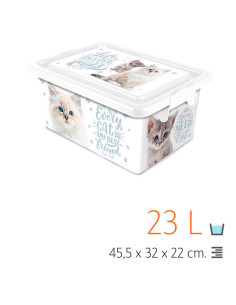 Tradineur - Caja de plástico con tapa y cierres laterales clip, cajón de almacenaje multiusos, ordenación, objetos, hogar, fabri 2