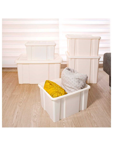 Tradineur - Caja de almacenaje con tapa N.º 18 - Fabricado en plástico - Capacidad de 60 L - Ideal para multiusos, ordenación y