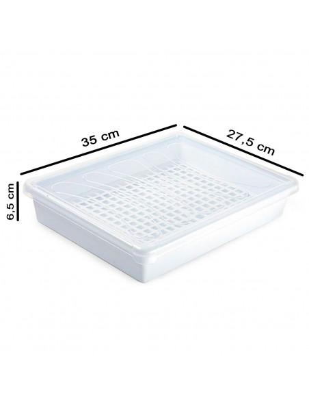 Tradineur - Bandeja con rejilla para frigorífico, fuente para la cocina, restaurante, bares, hostelería, 6,5 x 35 x 27,5 cm, col