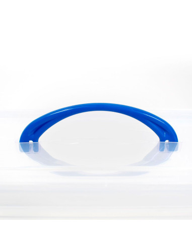 Tradineur - Caja de Almacenamiento N.º 29 - Incluye Asa y cierre clip - Capacidad de 5 Litros - Fabricado en España - Tamaño apr