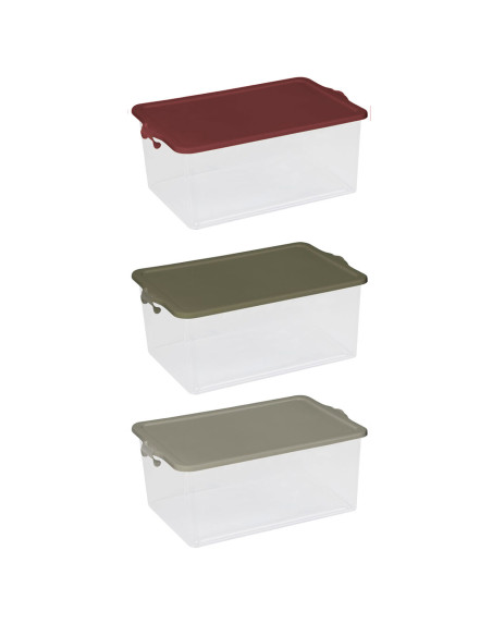 Tradineur - Caja de Almacenamiento Transparente con tapa N.º 13 - 55 Litros - Fabricado en Plástico - Cierre Hermético y Seguro