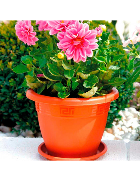 Tradineur - Maceta Redonda "Terracota" - Fabricado en Plástico - Macetero apto para Exterior e Interior del hogar - Ø 50 cm - Co