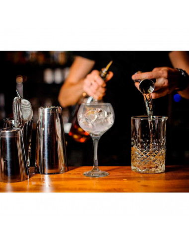 Tradineur - Set de 6 copas de cristal, modelo Ambassador, servir cubatas, cócteles, champán, elegantes, aptas para lavavajillas