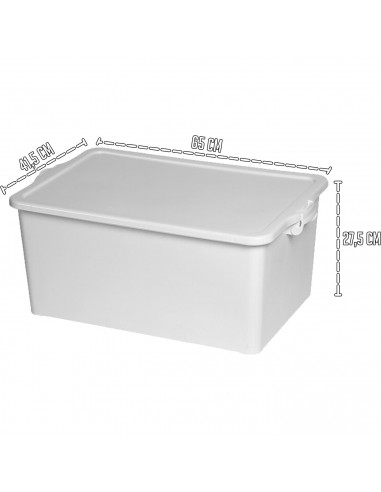 Tradineur - Caja de almacenamiento con tapa N.º 13 - Fabricado en PP - Capacidad de 55 Litros - Cierres Laterales con Clip - 27,