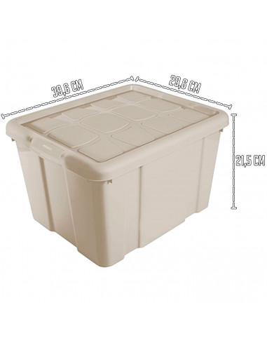 Tradineur - Caja de Almacenamiento con tapa - Fabricado en plástico - Contenedor para almacenar juguetes, Libros, ropa, mantas -