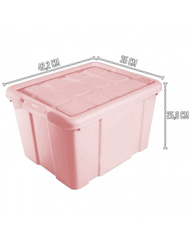 Tradineur - Caja de Almacenamiento con tapa - Fabricado en plástico - Contenedor para almacenar juguetes, Libros, ropa, mantas -