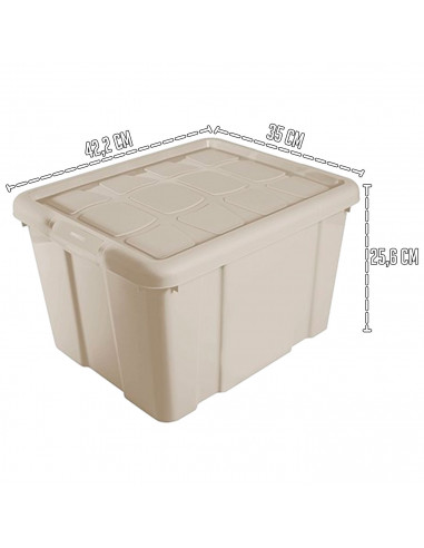 Tradineur - Caja de Almacenamiento con tapa - Fabricado en plástico - Contenedor para almacenar juguetes, Libros, ropa, mantas -