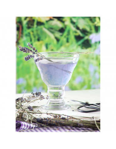 Tradineur - Set de 6 copas de helado, cristal liso, modelo orion, diseño sofisticado y elegante, postres, cócteles, aptas para l