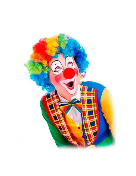 Peluca multicolor de payaso para jóvenes y adultos, complemetos de disfraces para carnaval, halloween u otras celebraciones. 29